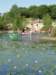 2011HWK 344_small.jpg